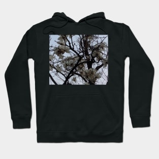 Photography flowers on the tree Hoodie